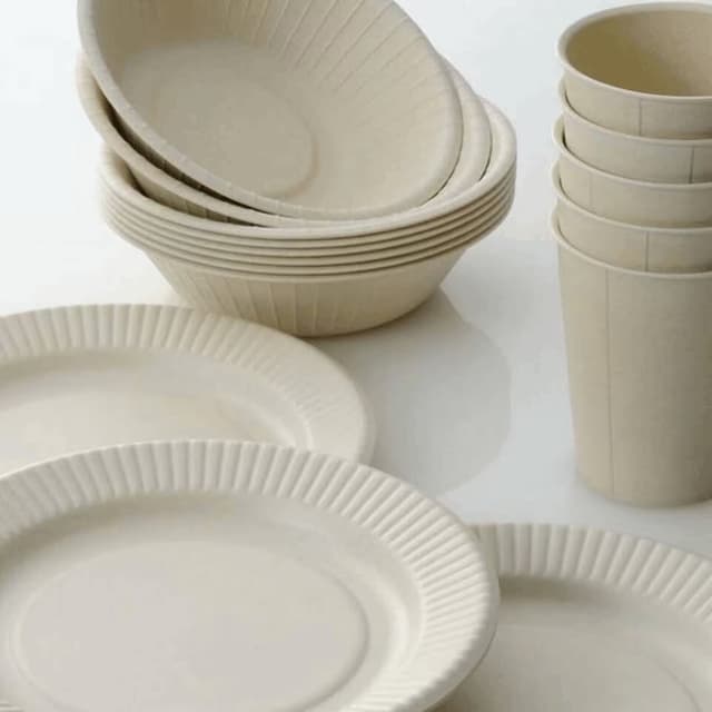 أكواب وصحون ورقية بيضاء (white paper cups and plates)