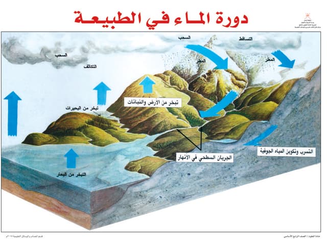 مصور الدورة المائية في الطبيعة